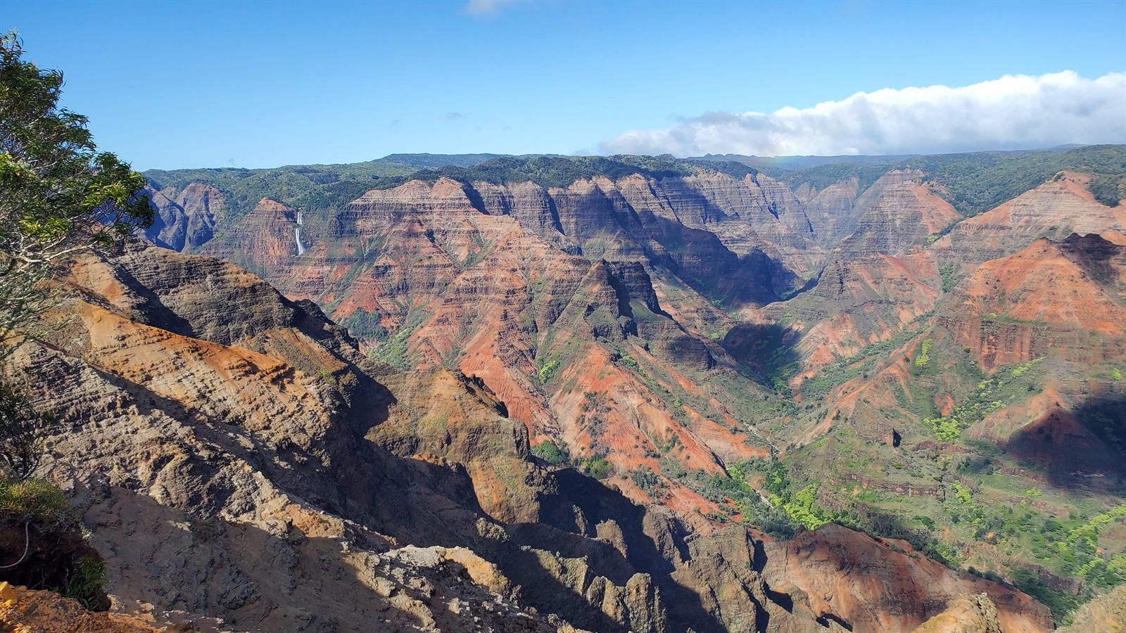 Red and green ridges of Waimea Canyon on Kauai under a blue sky, a place name written with the Hawaiian language alphabet