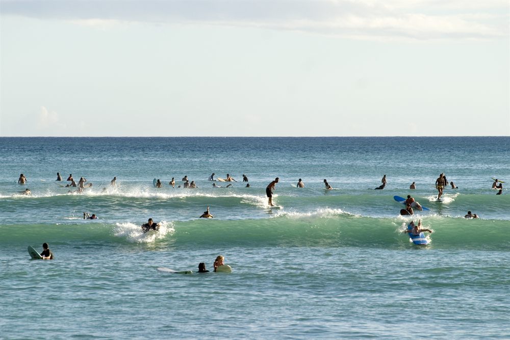 Dozens of surfers waiting for waves in the lineup off a Hawaiian beach