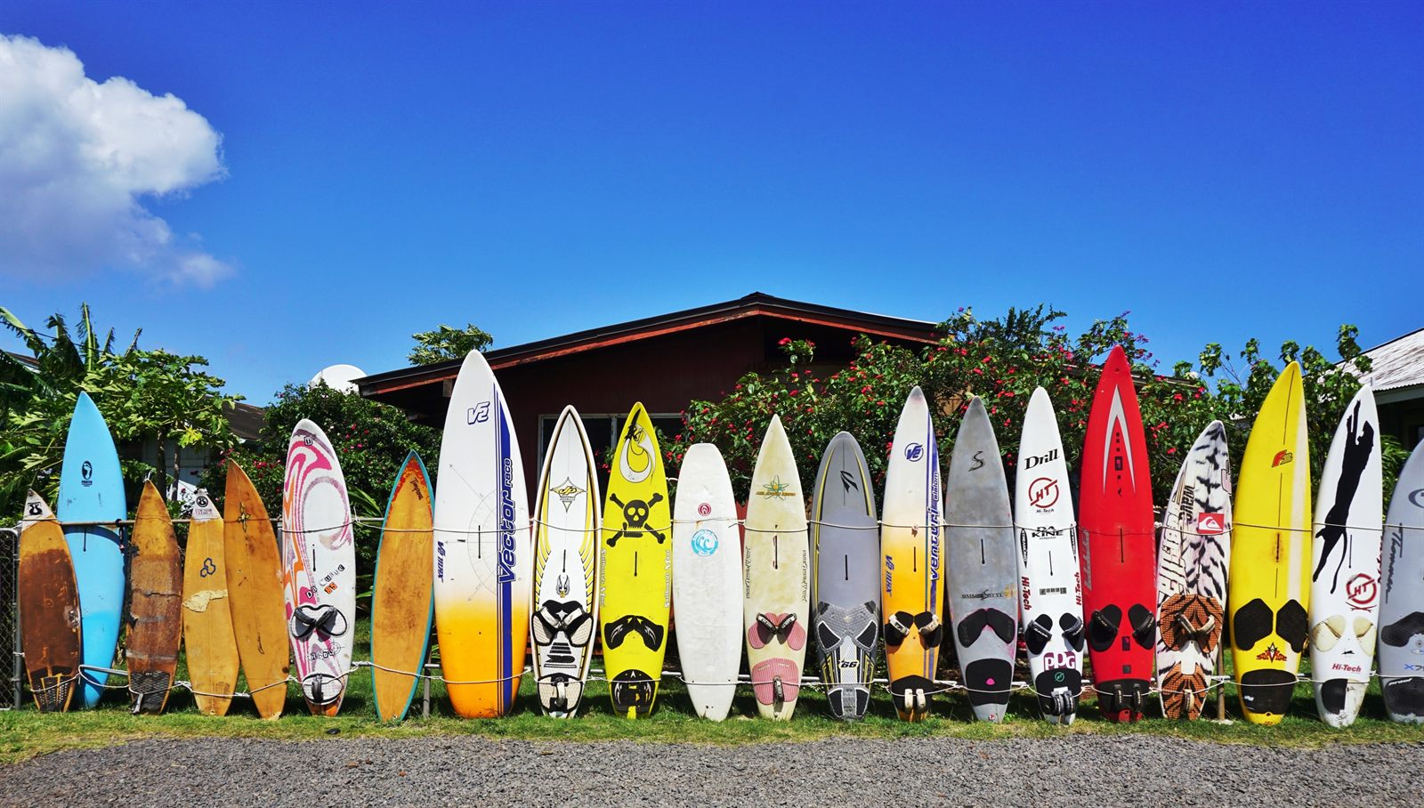 A long row of colorful surfboards and windsurf boards standing against a fence, surfing being part of Hawaiian culture